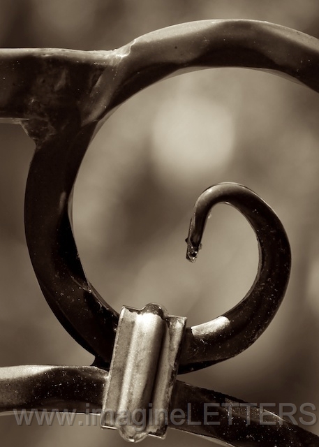 Wall_Art_Alphabet_Photography_Art_ 695.jpg
